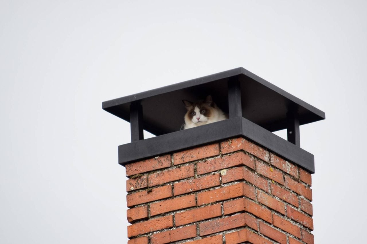 De schoorsteen bleek een goede verstopplek (foto: Toby de Kort / Persbureau Heitink).