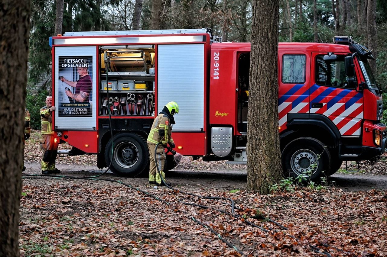 De boomstammen zijn mogelijk aangestoken (Foto: Toby de Kort / Persbureau Heitink)