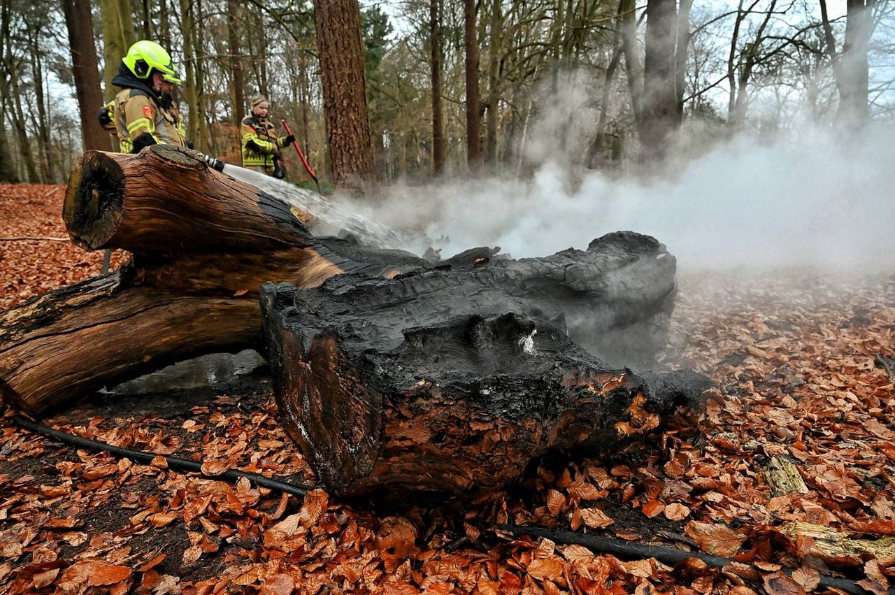 De boomstammen zijn mogelijk aangestoken (Foto: Toby de Kort / Persbureau Heitink)