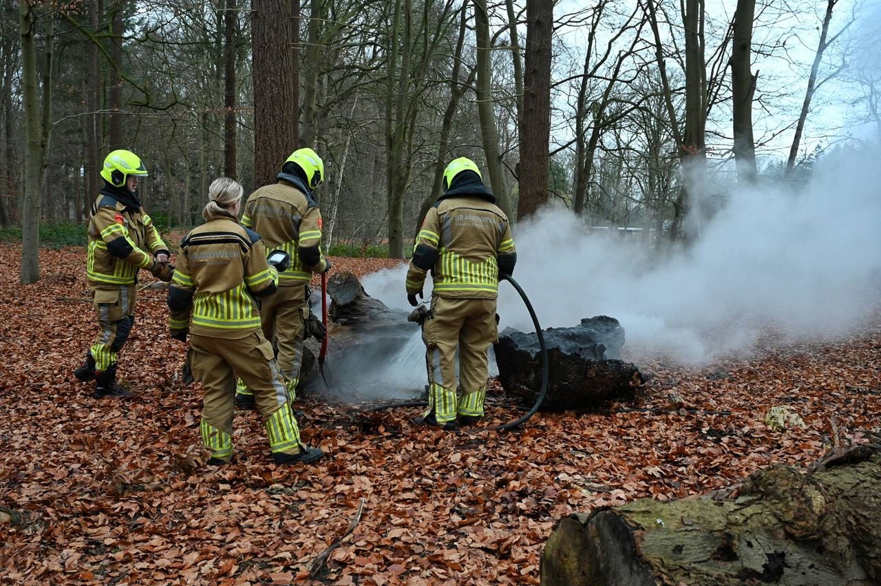 De boomstammen zijn mogelijk aangestoken (Foto: Toby de Kort / Persbureau Heitink)