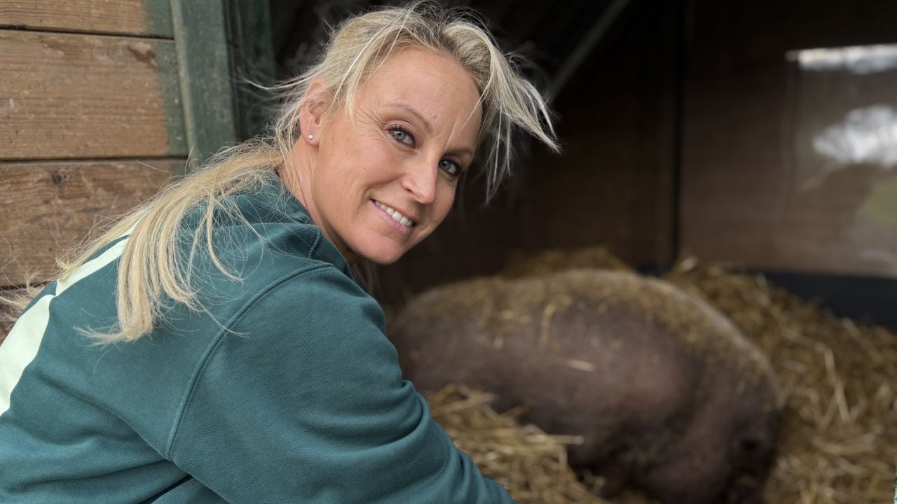 Dominique Schreinemachers verzorgt het zwaarlijvige varken Pumba (foto: Wilco Zonneveld).
