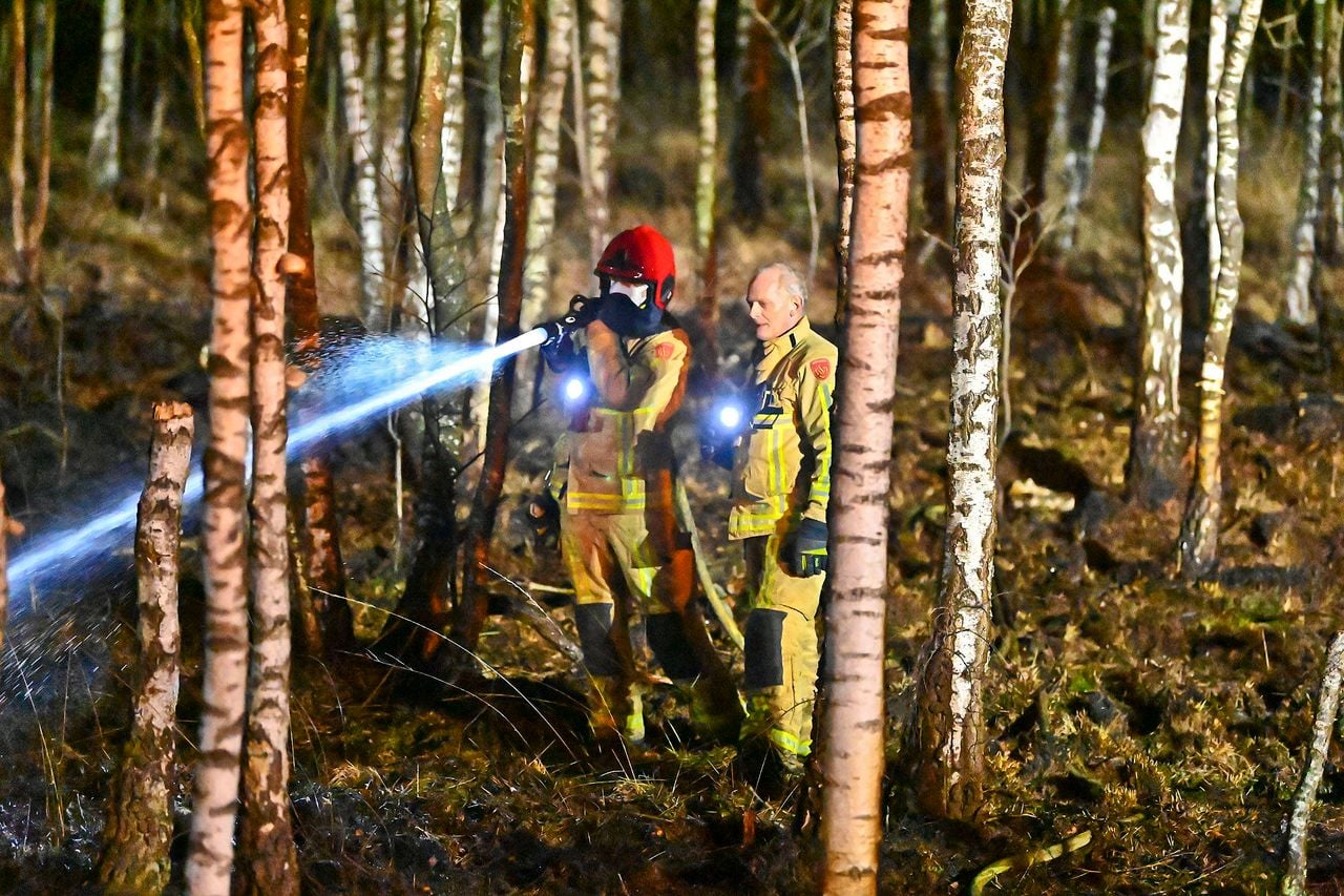 In totaal is er zo'n 100m2 bos afgebrand (foto: Rico Vogels/Persbureau Heitink).