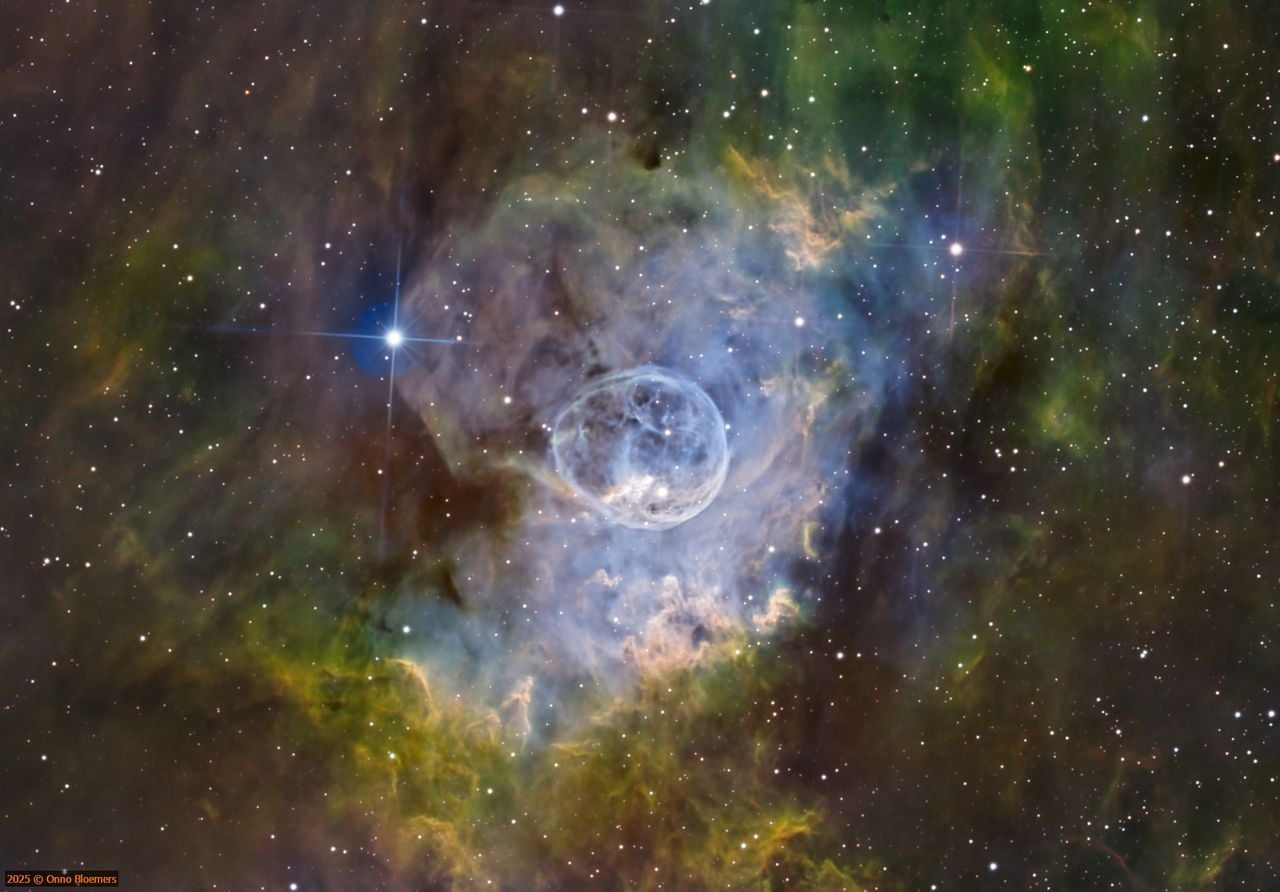 Bubble nevel (foto: Onno Bloemers). 