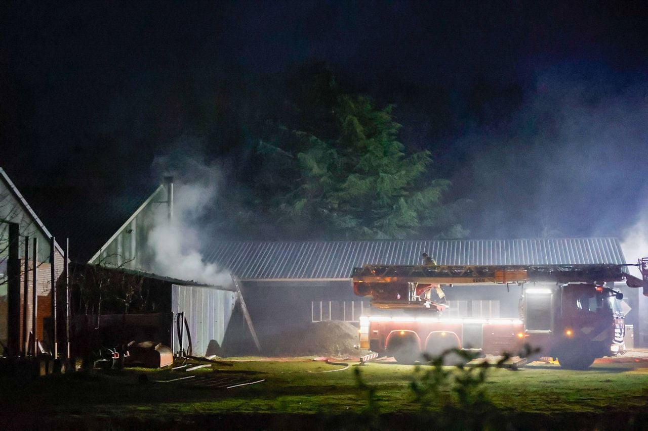 De oorzaak is nog niet bekend (Foto: Addy Smits / Persbureau Heitink)