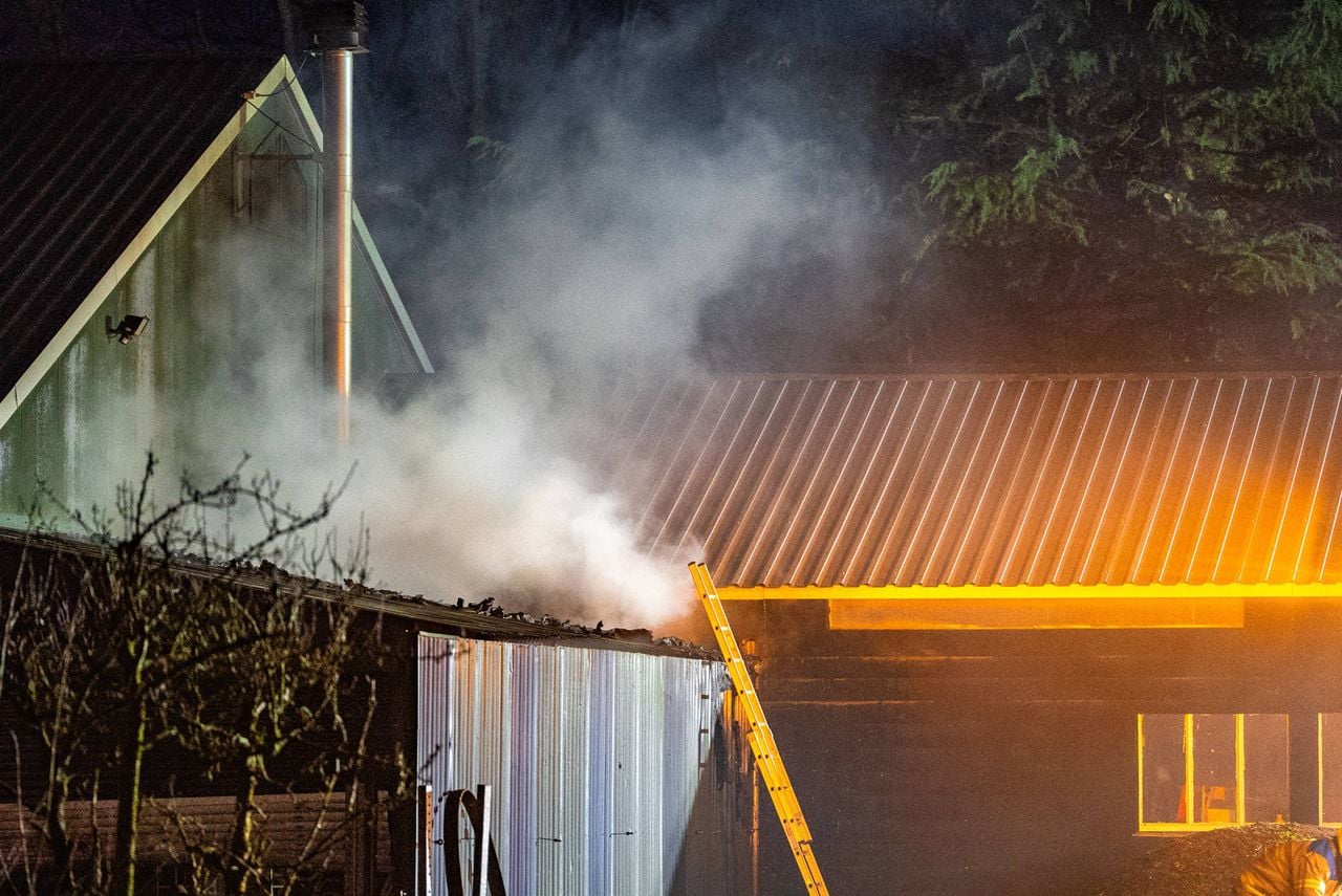 De oorzaak is nog niet bekend (Foto: Addy Smits / Persbureau Heitink)