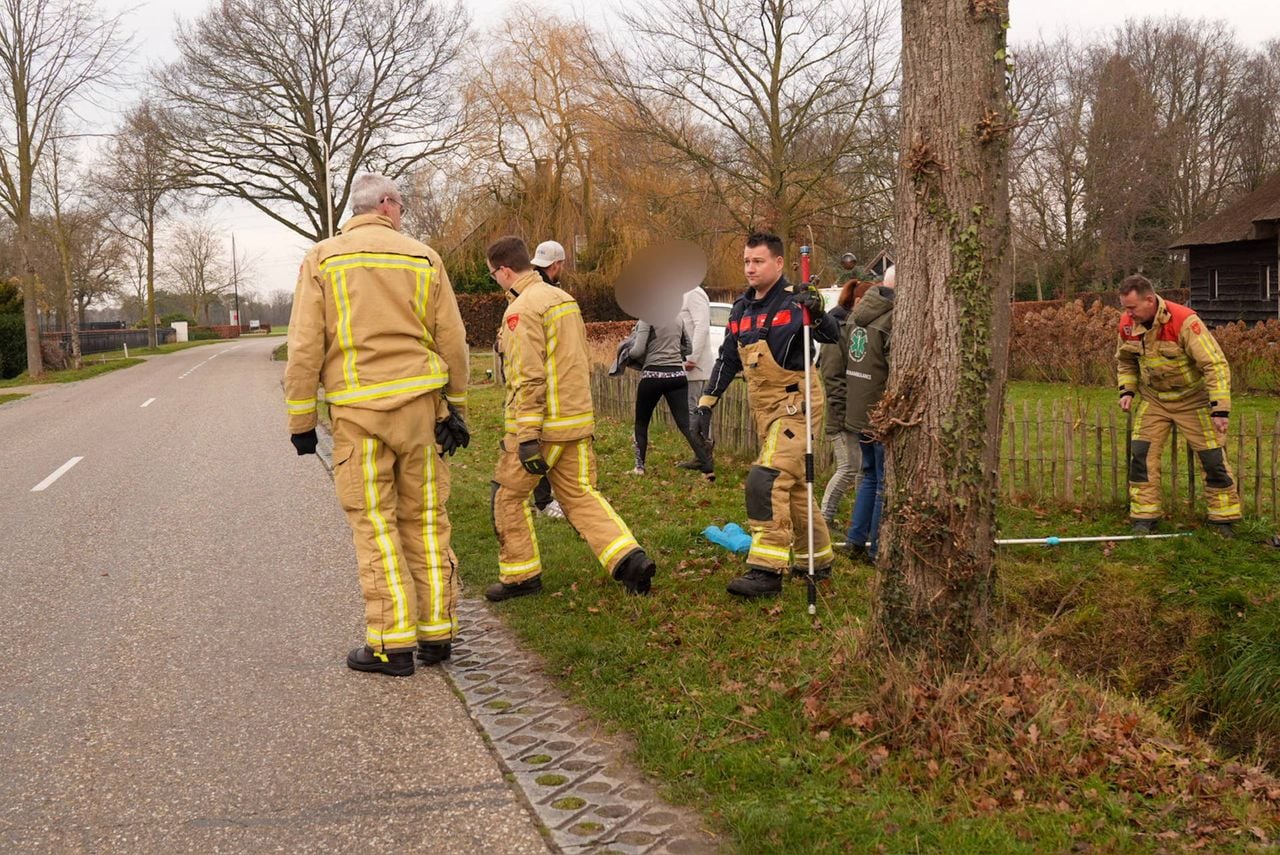 Het dier werd eerst aangereden (foto: Harrie Grijseels / Persbureau Heitink).