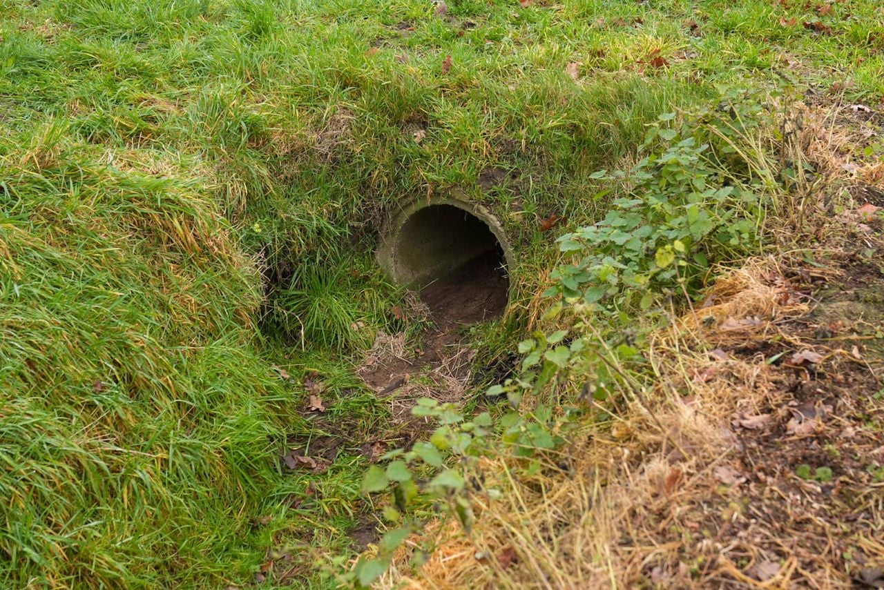 Een brandweerman ging de rioolbuis in (foto: Harrie Grijseels / Persbureau Heitink).