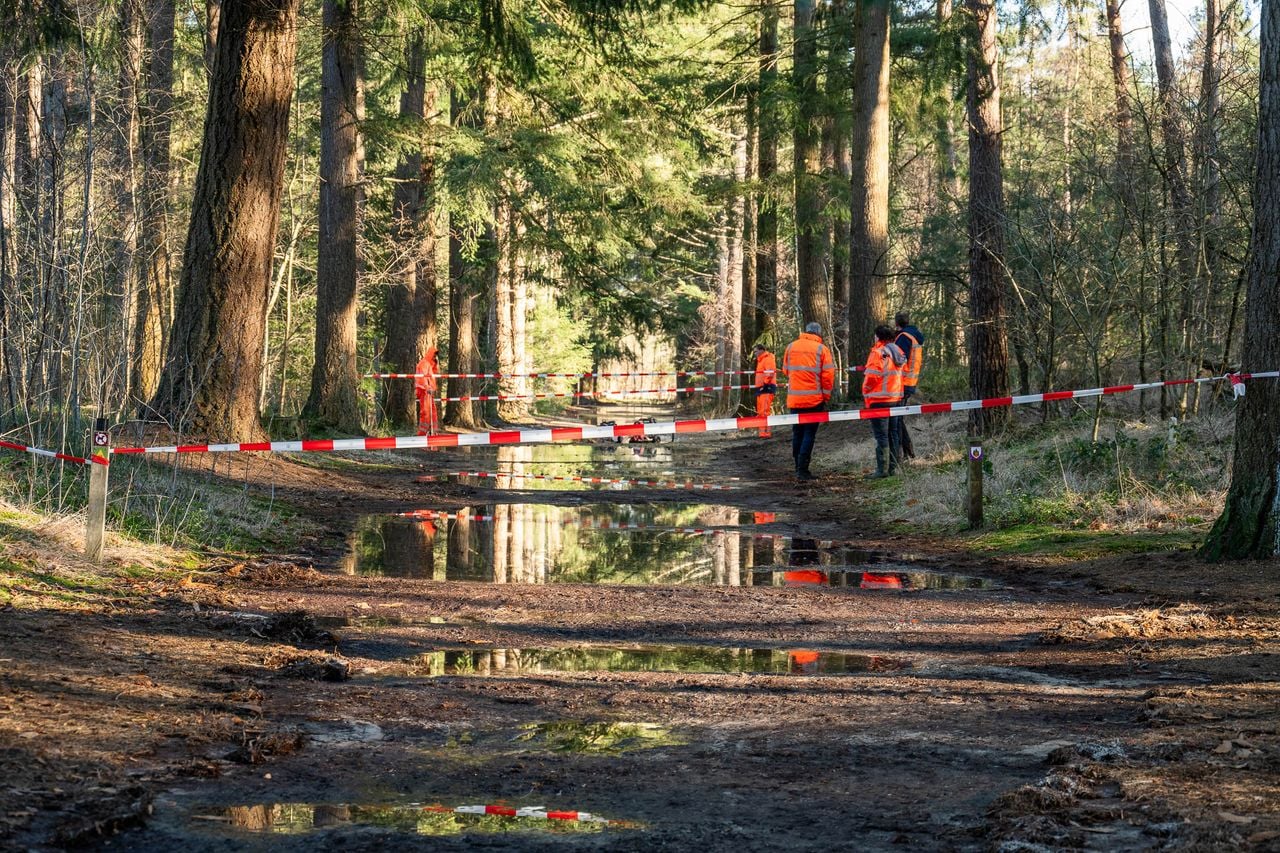Een deel van het bos is afgezet (foto: Tom van der Put / Persbureau Heitink).