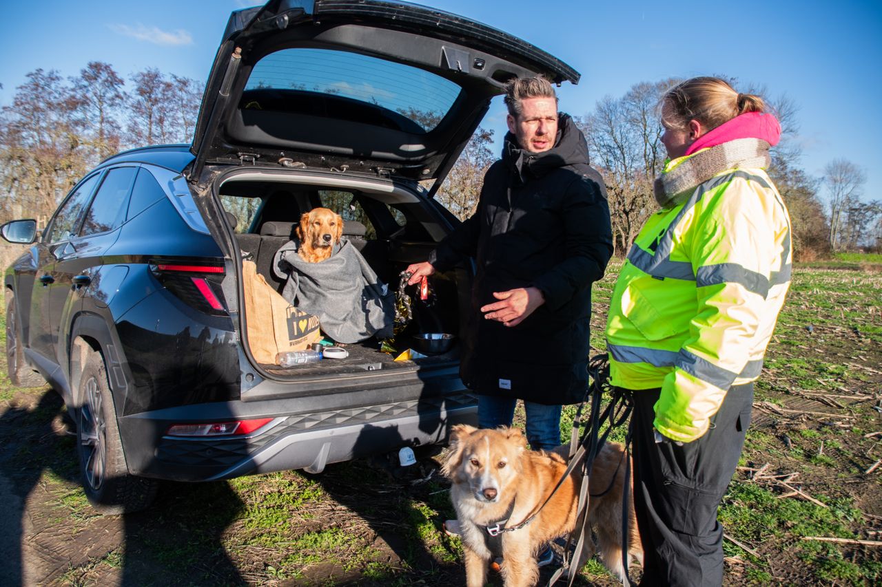 De hond van de dj kan bijkomen van zijn avontuur (foto: Justin Egberts/Egberts Media).