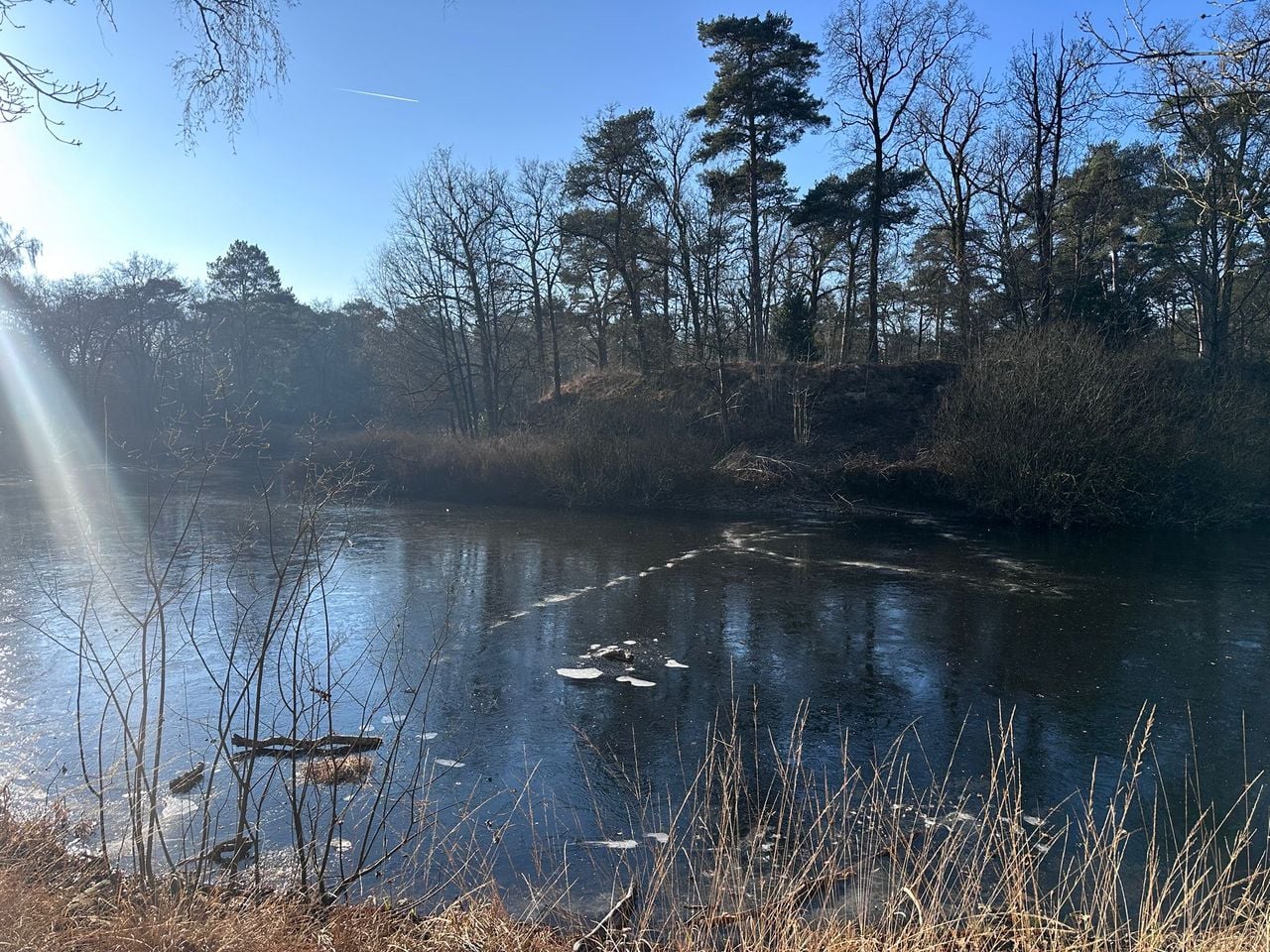 De sporen die het kleine hertje naliet op het watertje in Vught (privéfoto) 
