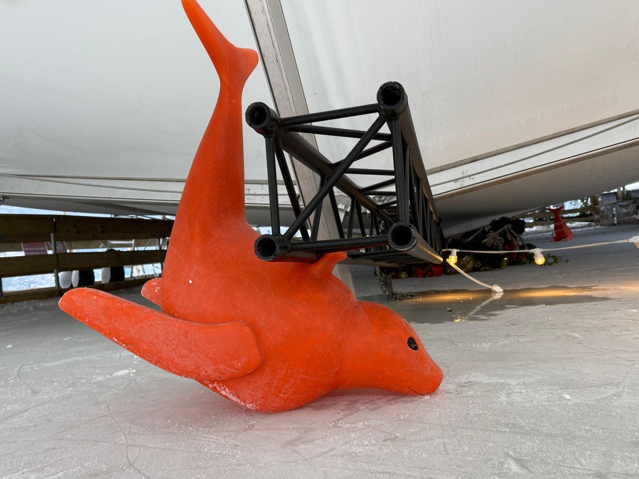 Foto: Bart Meesters/Persbureau Heitink.