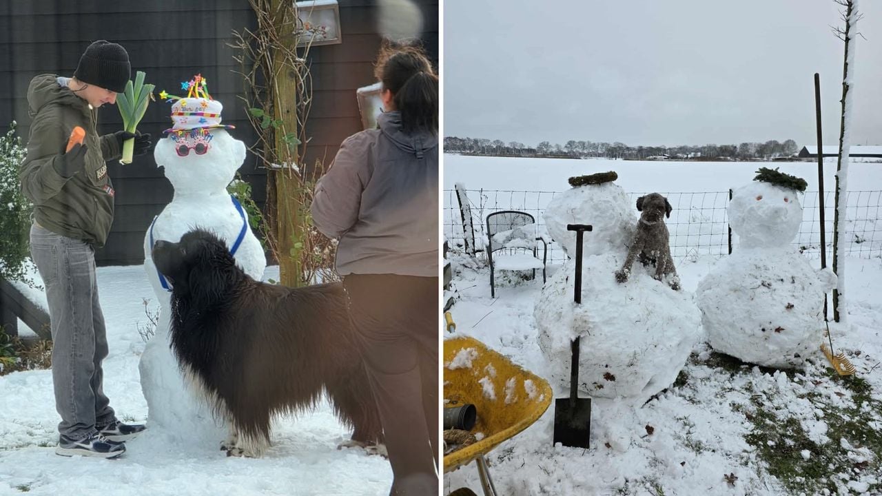 Hondje Luna uit Moergestel heeft wel zin in een wortel, maar die dient toch echt als neus voor meneer de sneeuwpop. Jammer! Moca uit Baarschot heeft zich al met de nieuwe vrienden in de tuin verzoend, zoals jullie zien.