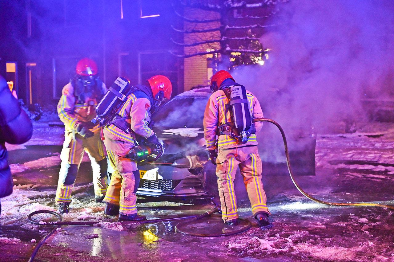 el onder controle (foto: Rico Vogels/Persbureau Heitink).
