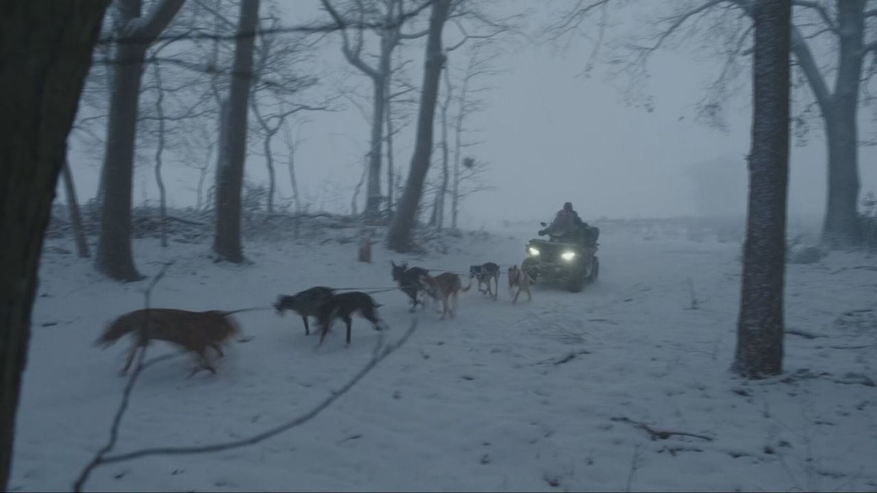 De sledehonden trekken de quad (foto: NOS).