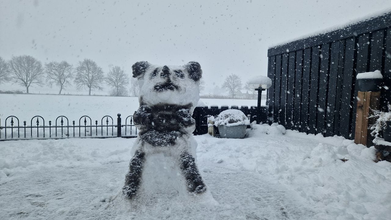 In Middelrode hebben ze een sneeuwpanda gemaakt (foto: Richard van Rooij).