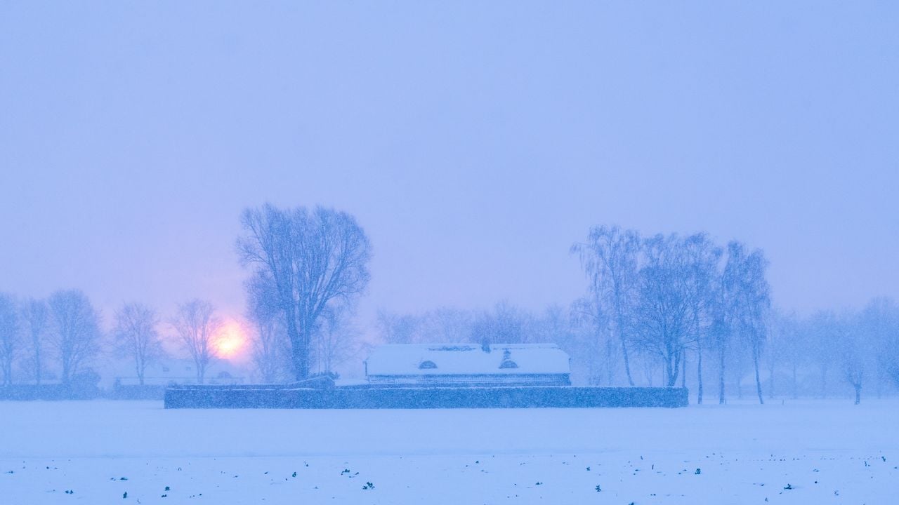 Sneeuwlandschap bij Heeswijk-Dinther (foto: Laura Vink).