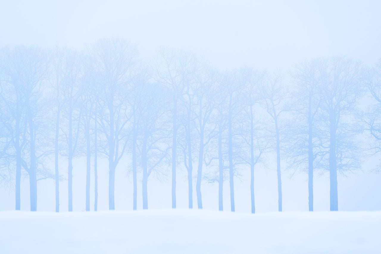Sneeuwlandschap bij Heeswijk-Dinther (foto: Laura Vink).