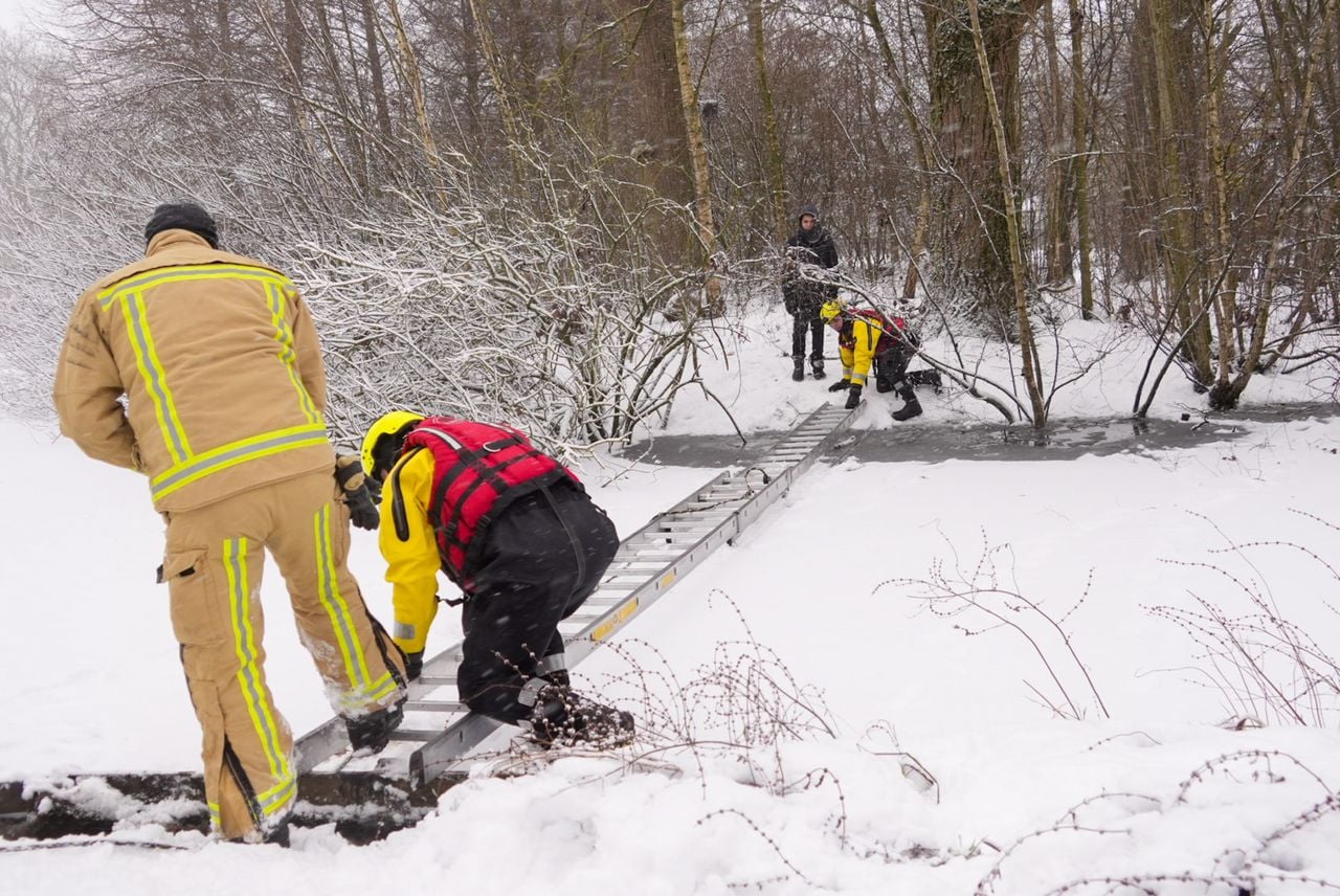 Foto: Harrie Grijseels/Persbureau Heitink