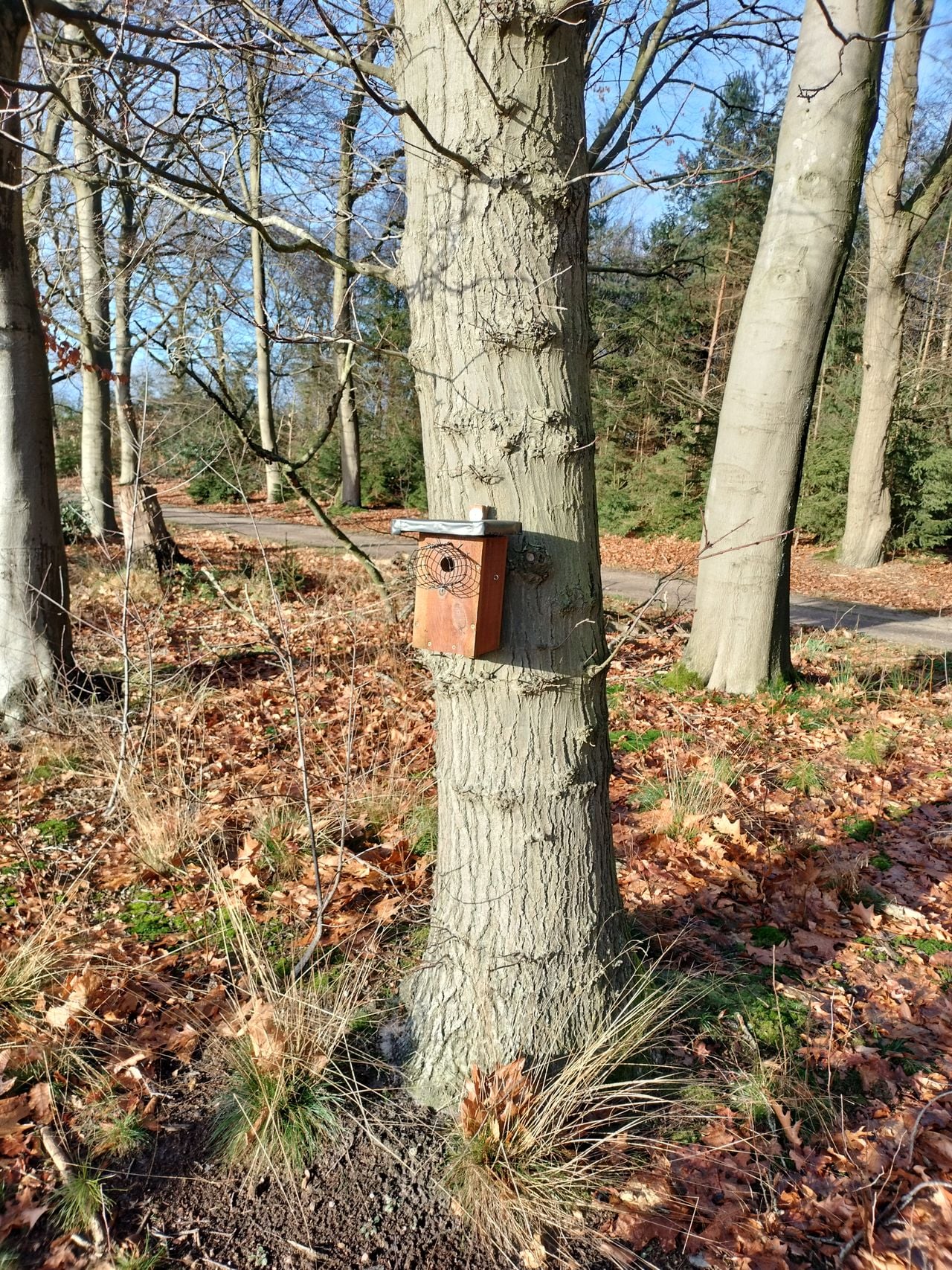 Deze nestkastjes zag Doke op de Veluwen (foto: Doke Swijters).