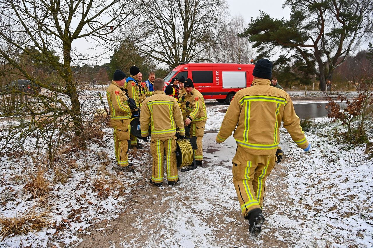 De brandweer kwam voor niks naar de zwaan in Gassel (foto: Rico Vogels / Persbureau Heitink).