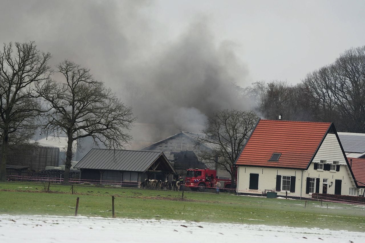 Er kwam veel rook vrij bij de brand in een koeienstal in Moergestel (foto: Persbureau Heitink).