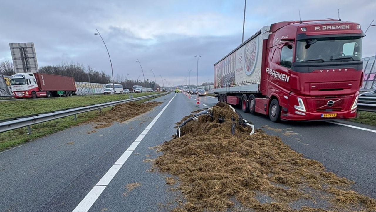 Foto: wis_robertvda/X.