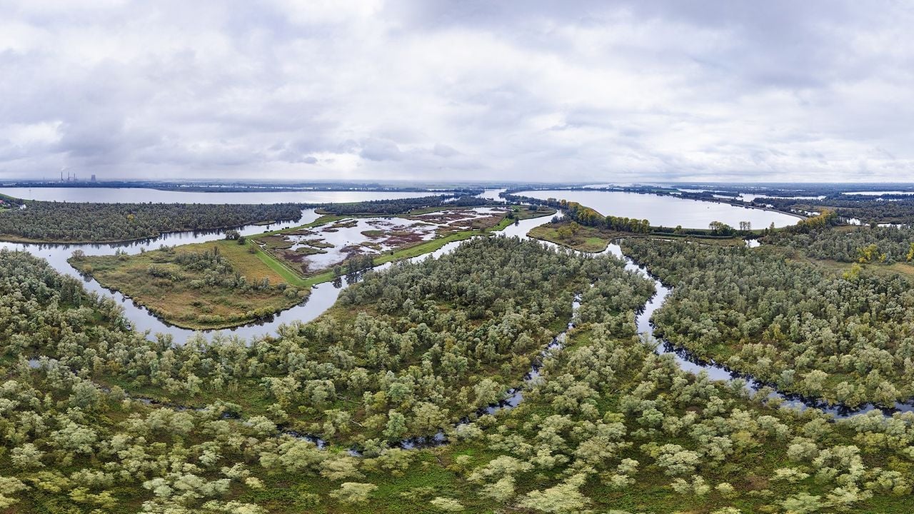 Deel van de panoramafoto van de Biesbosch (foto: Paul Oostveen).