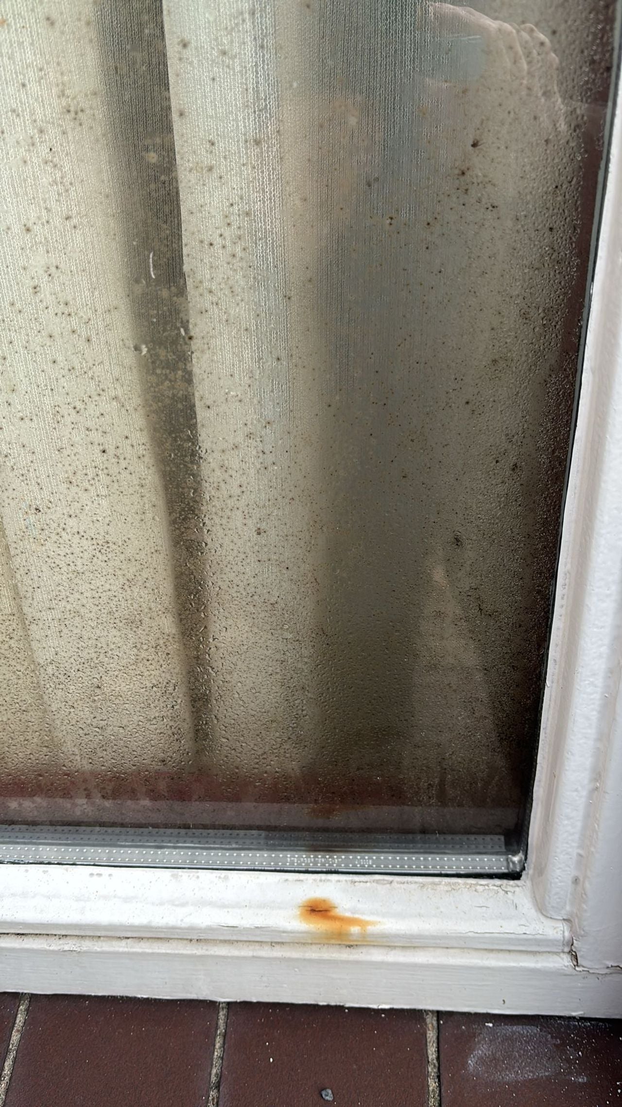 De schimmel op de ramen is duidelijk zichtbaar (foto: Marie-Louise Maagdenburg).