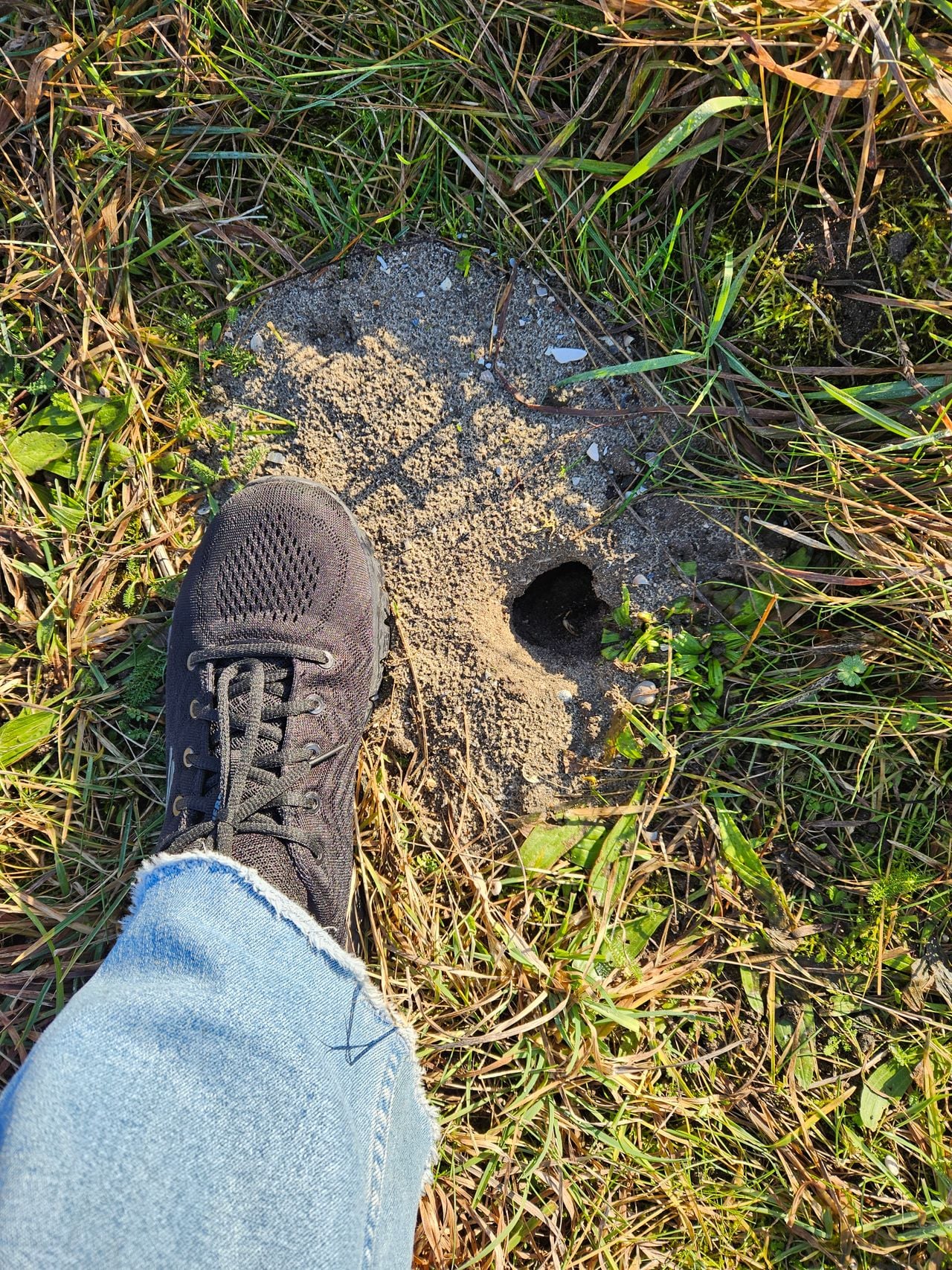 Ingang mollengang (foto: Margot Reijnders).