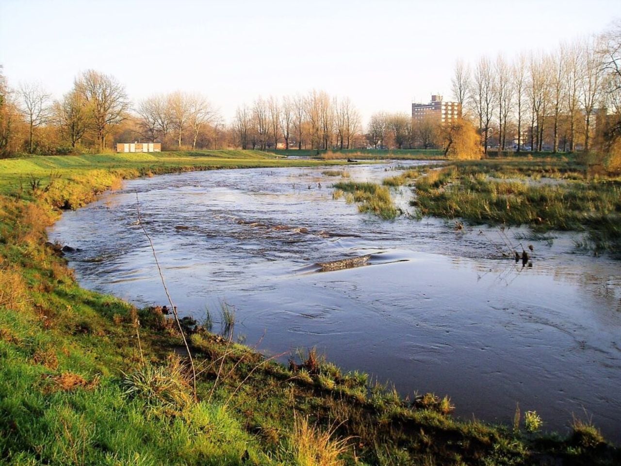 Zaartpark Breda West Brabantse Vogelwerkgroep