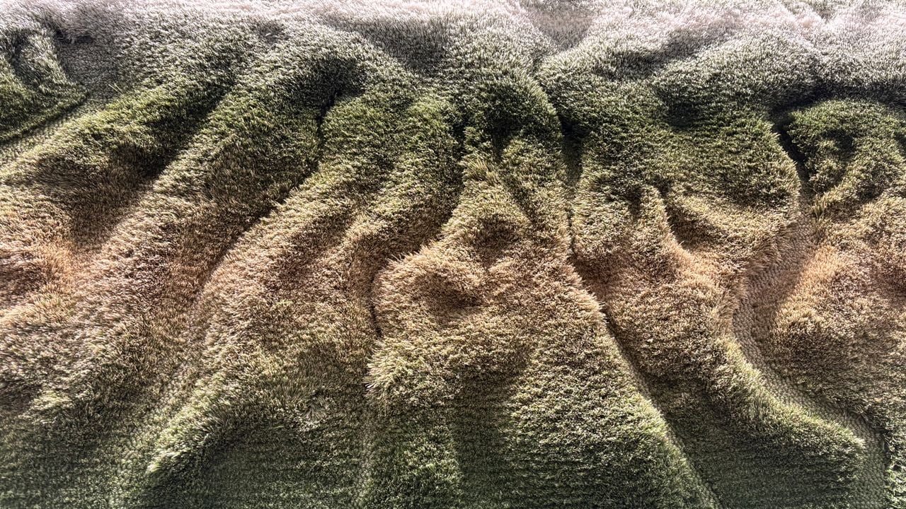 Detail van het tapijt California Drought