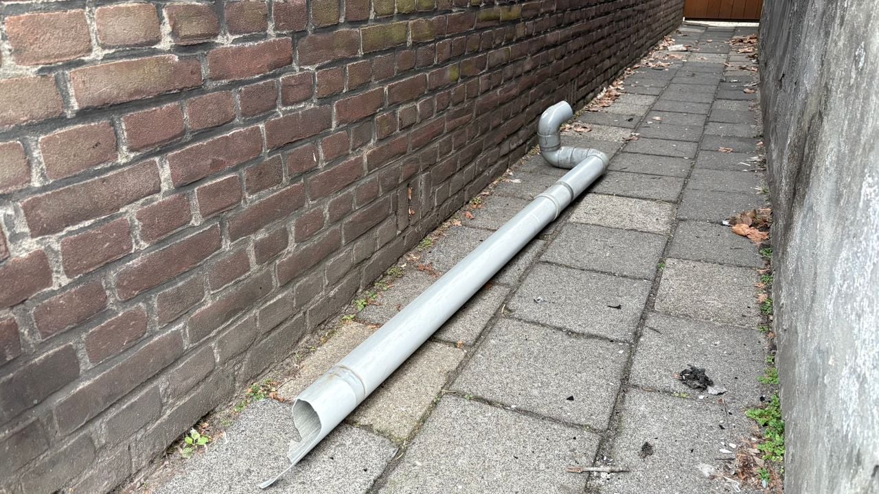 Deze regenpijp is geraakt (foto: Raymond Merkx).