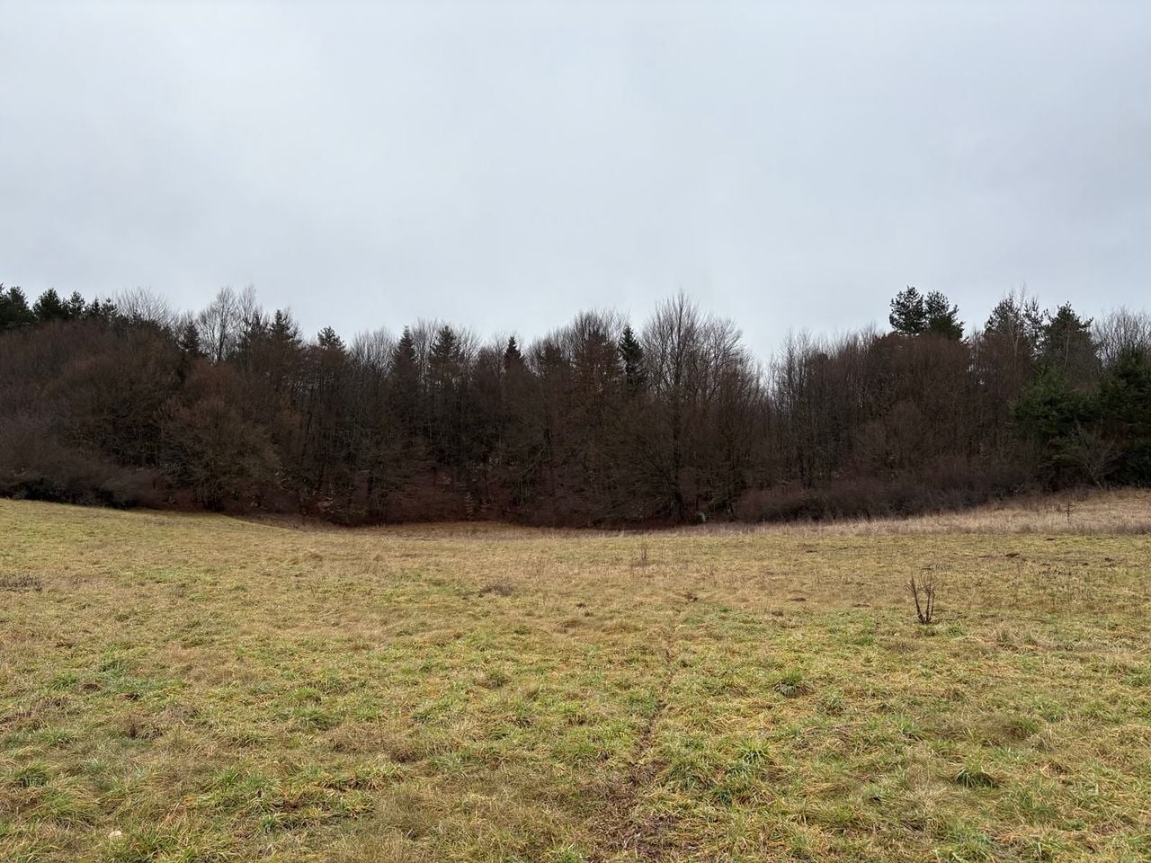 Op de plek waar het park moet komen is nu nog… niets.