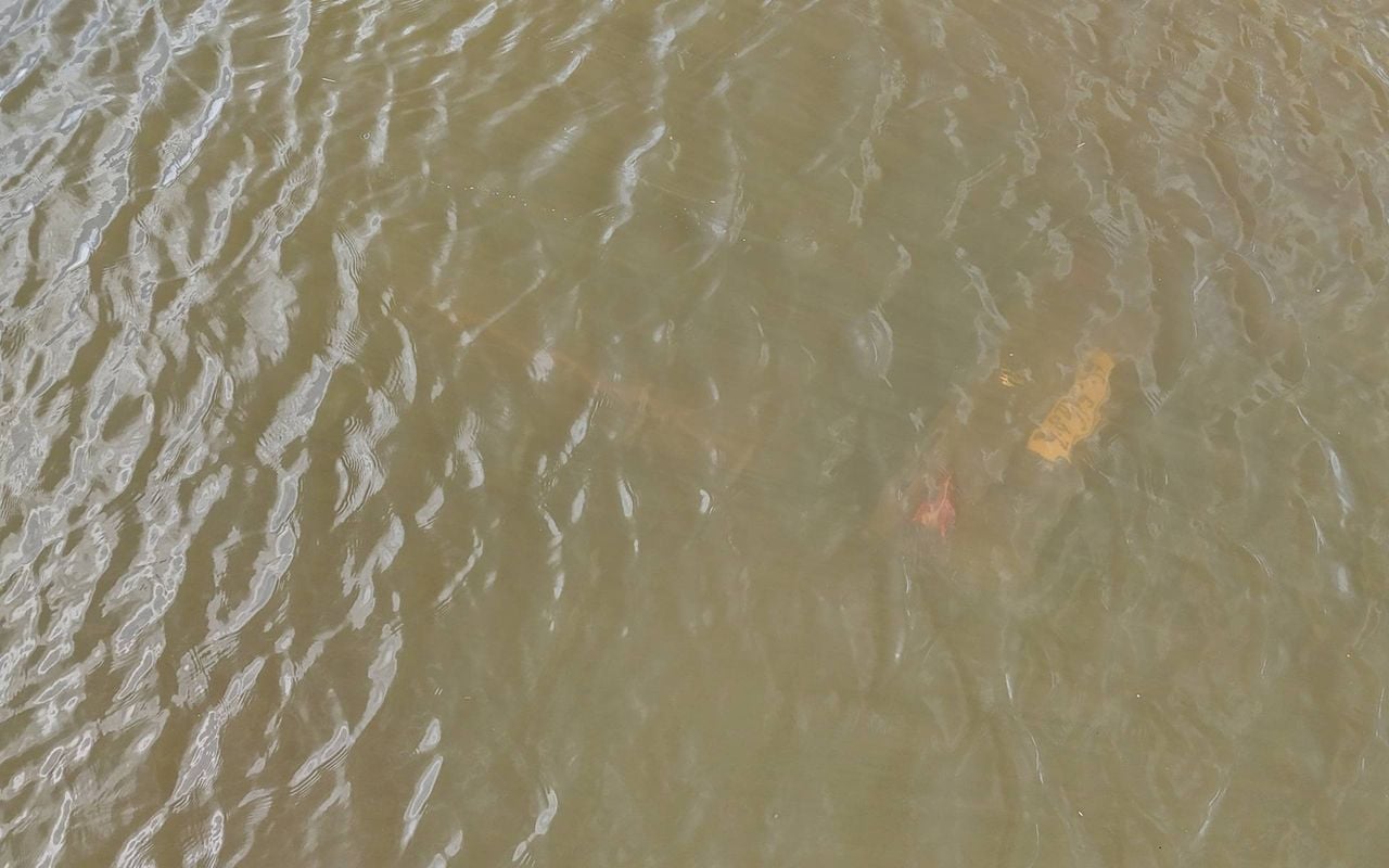 Foto: Toby de Kort/Persbureau Heitink.