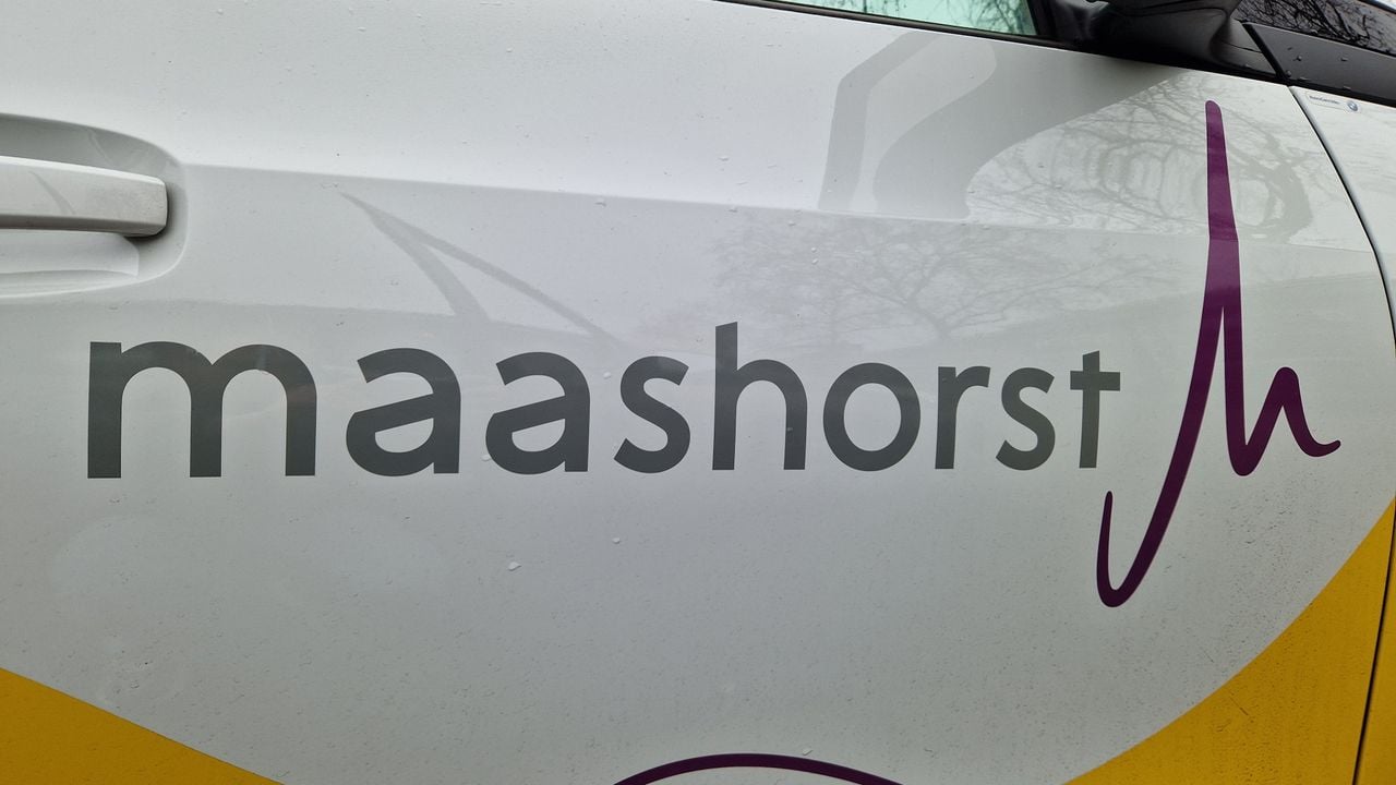 Het logo van de gemeente Maashorst (foto: Tom Berkers).