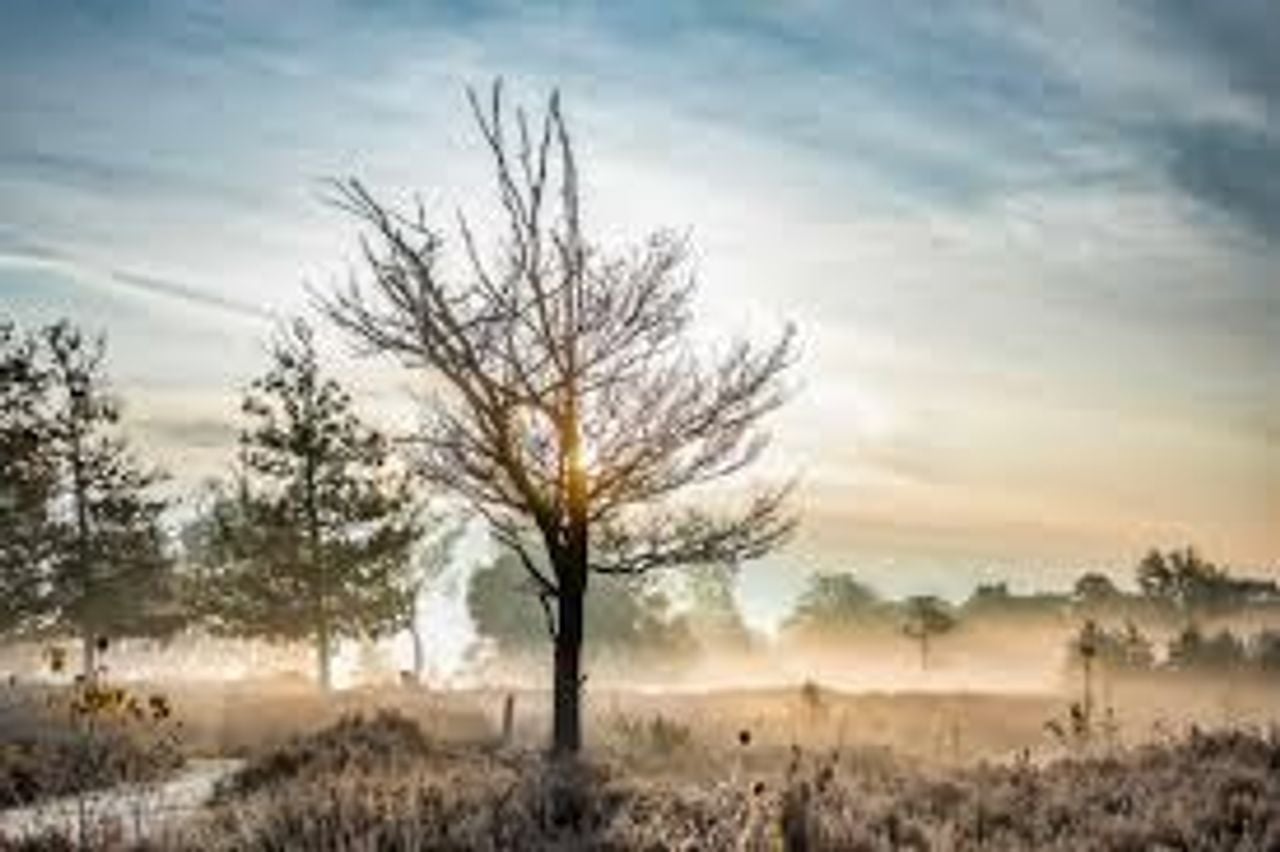 Winterwandeling door de Kampina (foto: Natuurmonumenten).