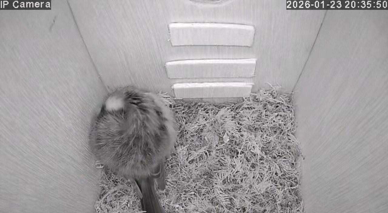 Wie slaapt daar zo lekker? (foto: Marielle Schelling).