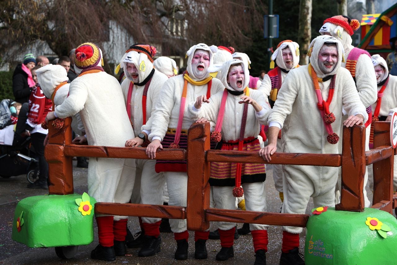 Schaapjes in het nauw (foto: Karin Kamp).