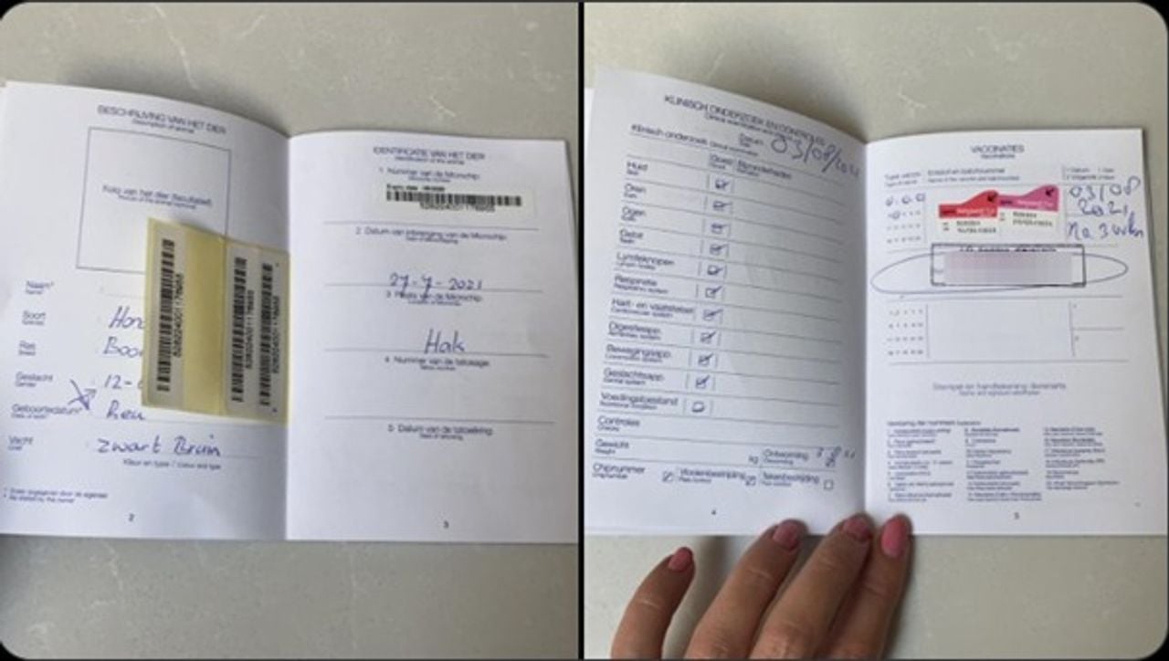 Een dierenpaspoort met een stempel van de bewuste dierenarts (foto: X.com).