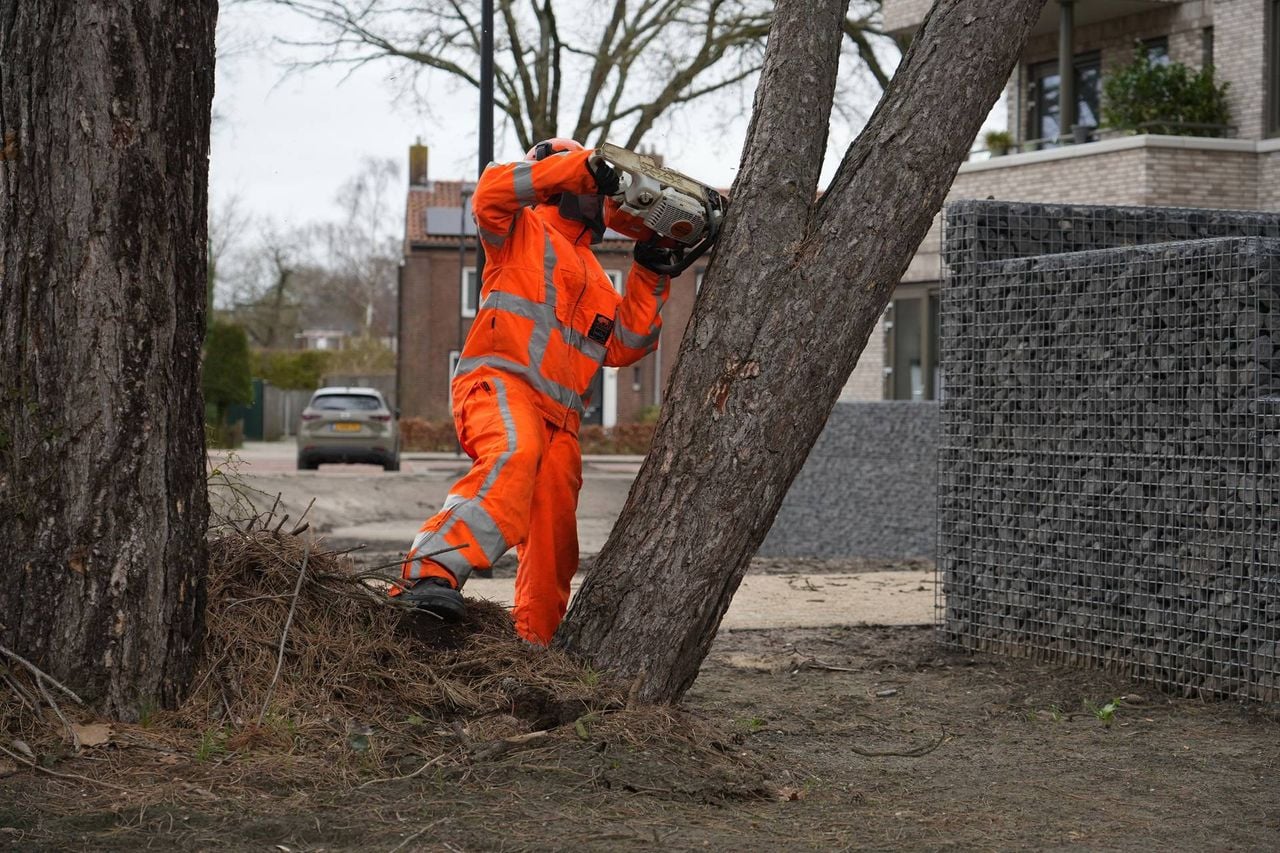 Foto: Jeroen Stuve/Persbureau Heitink.