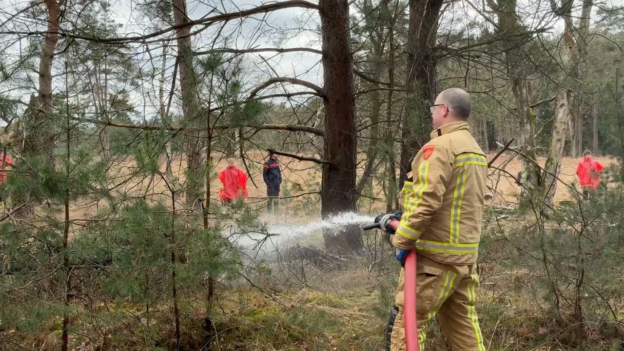 Oefening bosbrand bij Oisterwijk (foto: Jos Verkuijlen).