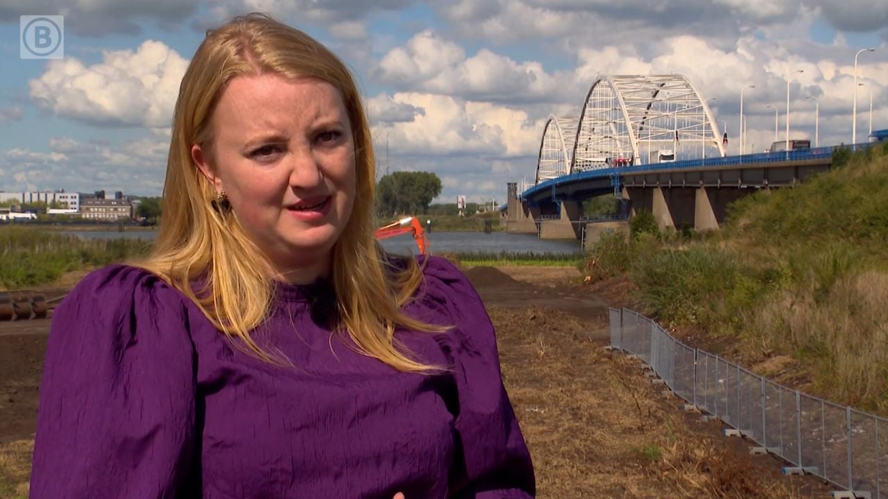 CDA-raadslid Jade Buchholtz wil zelfmoordpreventieborden bij de Merwedebrug (foto: Omroep Brabant)