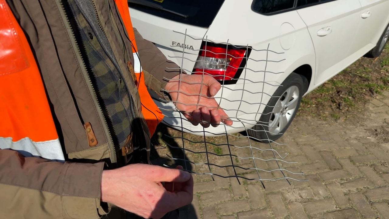 Dit gaas ligt als een deken over het spoortalud bij Ravenstein en voorkomt dat de das onder het spoor kan graven (foto: Wilco Zonneveld).