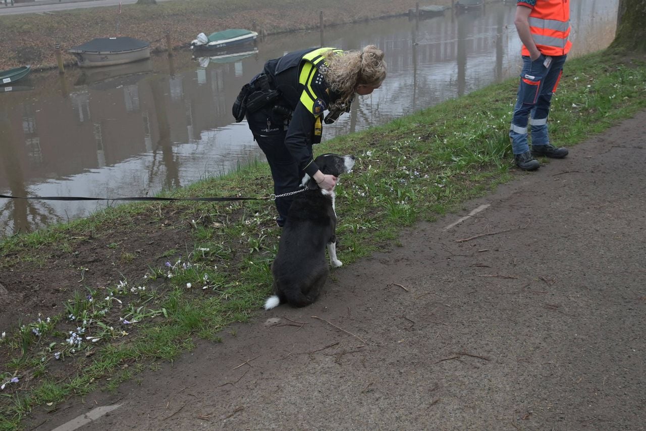 Foto: Perry Roovers/Persbureau Heitink.