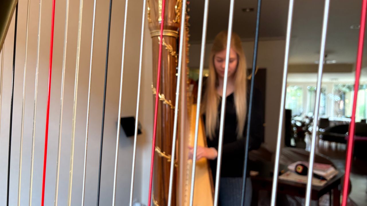 Michelle Sweegers thuis in Tilburg achter haar harp (foto: Ruud Ritzen).