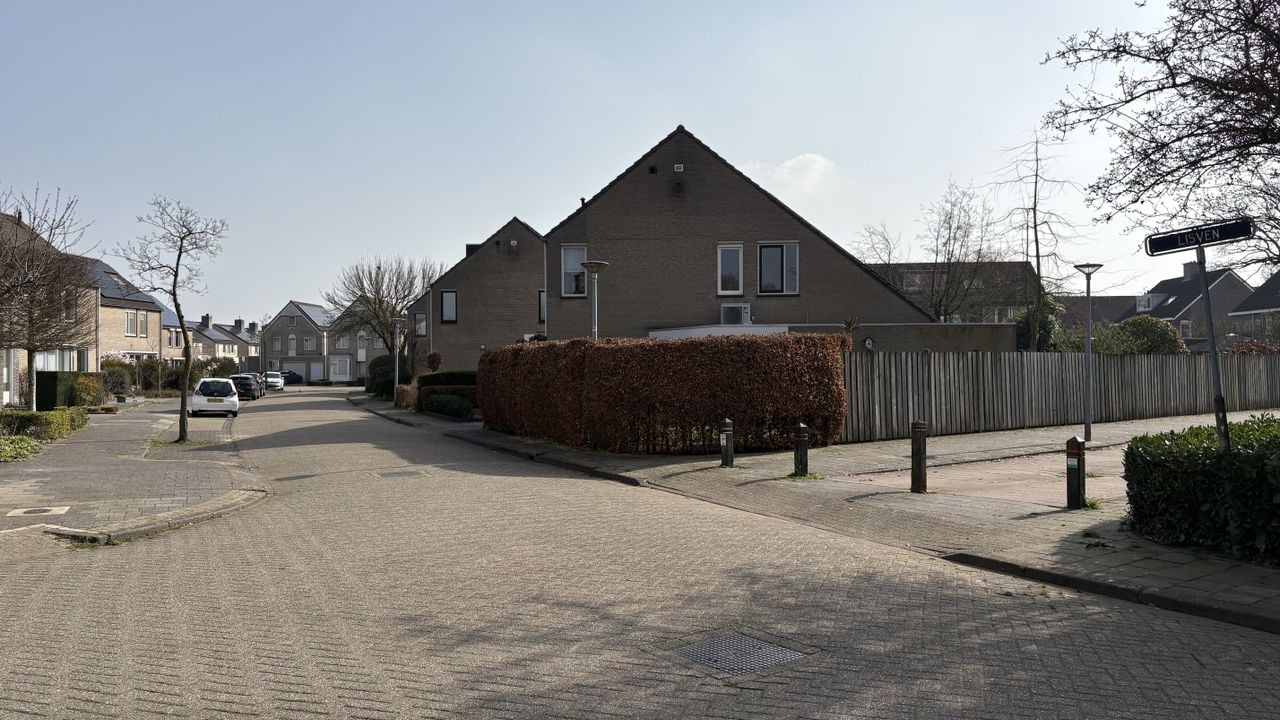 Het Lisven in Eindhoven is volgens de bewoners erg kaal. Daarom willen ze dat er meer groen in de openbare ruimte komt (foto: Wilco Zonneveld).