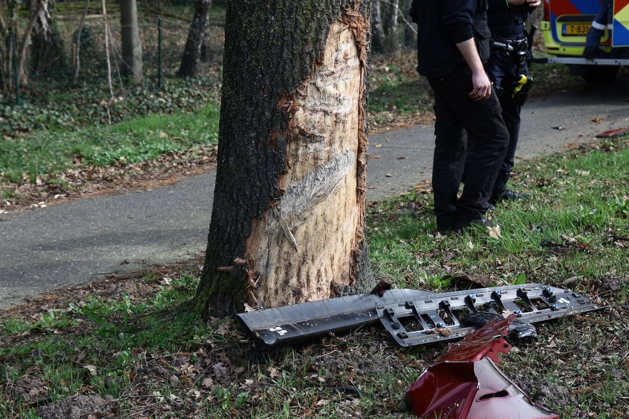 De vrouw botste tegen een boom aan (foto: SK-Media/Persbureau Heitink).
