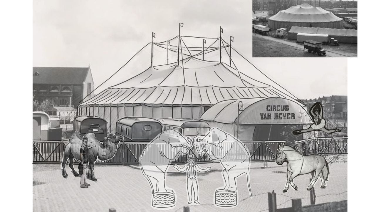 In 1953 liepen circusdieren dwars door Terheijden, na een brand in hun winterverblijf (foto: Carlijn van der Leede).