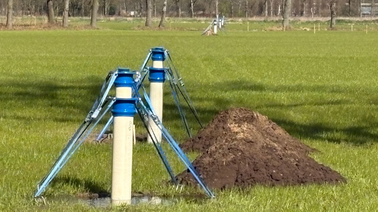 Meetpunten in het weilland (foto: Jan Peels).