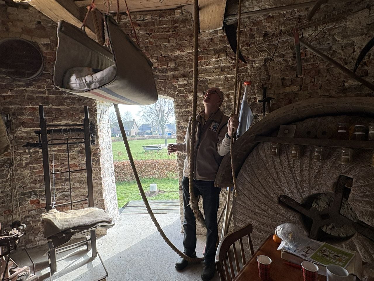 Het maïs wordt naar boven getakeld (foto: Karin Kamp).